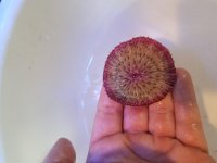 20180128_142612.jpg