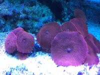 IMG_0973.jpg