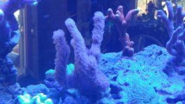 20181116_120255.jpg