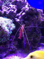IMG_1038.jpg