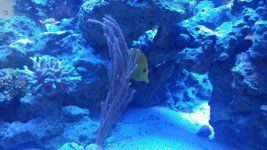 20181116_120120.jpg