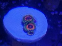 20170521_105823.jpg