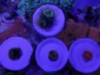 20180126_125438.jpg