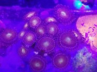 20180126_200859.jpg