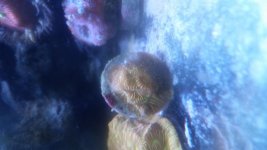 20171030_184807.jpg