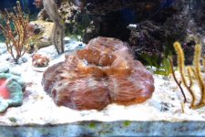 DSC_0562.JPG