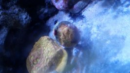 20171030_184844.jpg