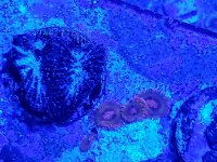 20180716_175625.jpg