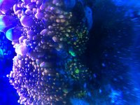 E0D3F762-DB30-4E2B-A802-45CA22575C68.jpg