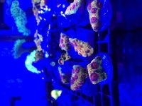 IMG_8777.jpg