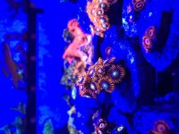 IMG_8778.jpg