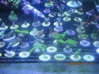 IMG_2984.jpg