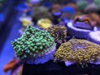 IMG_2830.jpg