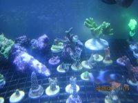 IMG_2987.jpg