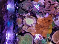 20180625_210853.jpg