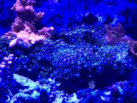 3FA7D463-CB3B-42EF-BBA4-8F85D0BC15E8.jpg