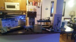 20170522_131511_Burst01.jpg