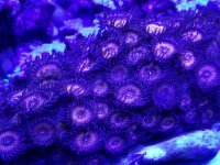 20170806_161117.jpg