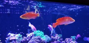 20180719_153739.jpg