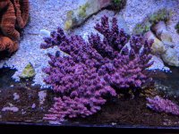 IMG_20181118_095605.jpg