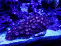 20170806_161111.jpg