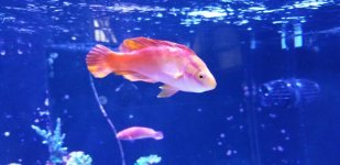 20180719_153744.jpg