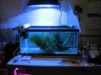 IMG_2996.jpg