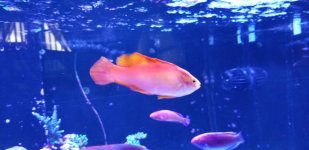 20180719_153742.jpg