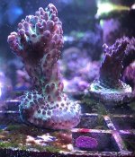 IMG_0301.jpg
