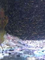 IMG_20170522_183946 (1).jpg