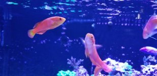 20180719_153731.jpg