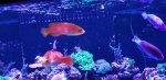 20180719_153802.jpg