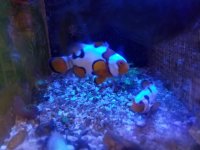 20170806_200304.jpg