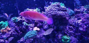 20180719_160339.jpg