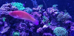 20180719_160338.jpg