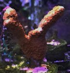 IMG_0295.jpg