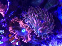 669DCDD8-CC3C-47BA-AB1B-C91FAE0ED7A0.jpg