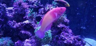 20180719_160240.jpg