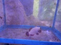 20170806_200231.jpg