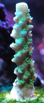 IMG_0290.jpg