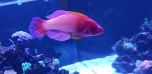 20180218_141523.jpg
