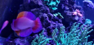 20180218_141449.jpg
