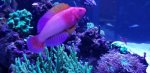 20180218_141516.jpg