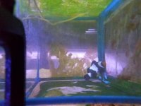 20170804_182338.jpg