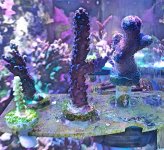 IMG_0285.jpg