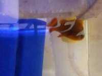 20170806_205122.jpg