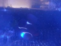 20170806_204933.jpg