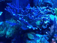2C3C5A4E-0D5B-4531-9F19-1C4F846DF7A2.jpg