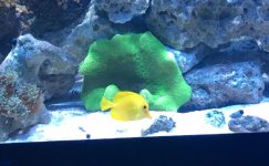 IMG_3898.jpg
