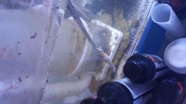20180821_224556.jpg